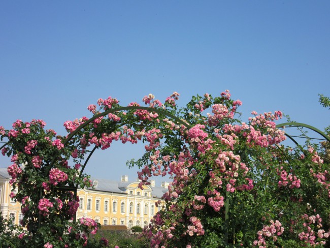 IMG_6479_1.jpg