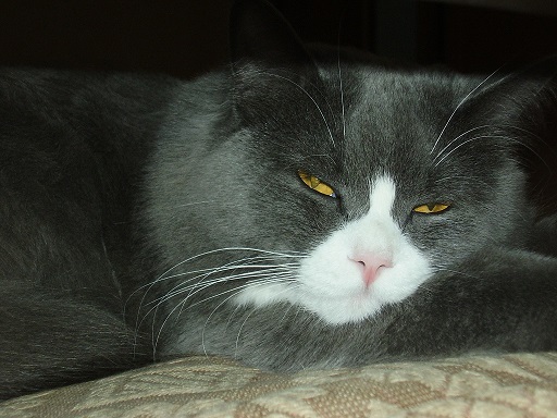 21.JPG