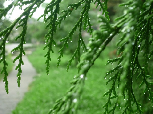 P1270257+.jpg