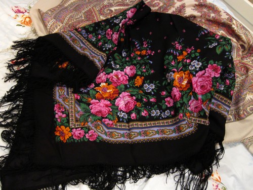 Павловские розы