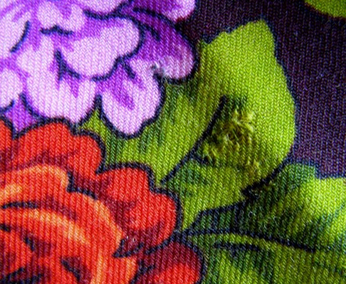 P4284420.JPG