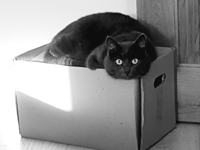 20180922_132655.qQo47.jpg