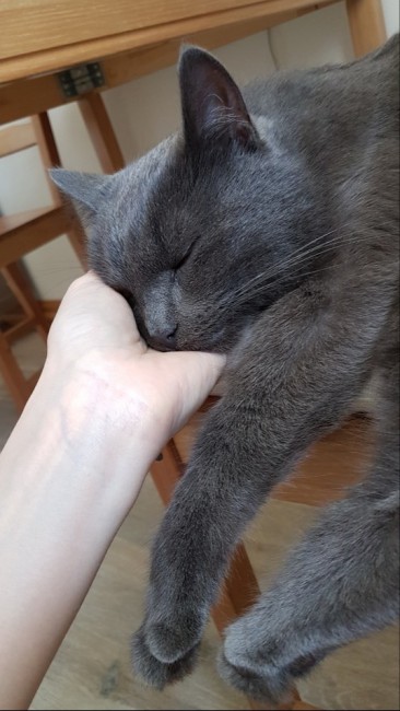 20180831_165223.jpg