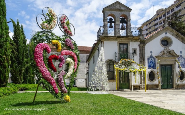 Festival de Flores, Viana do Castelo (4) (1).jpg
