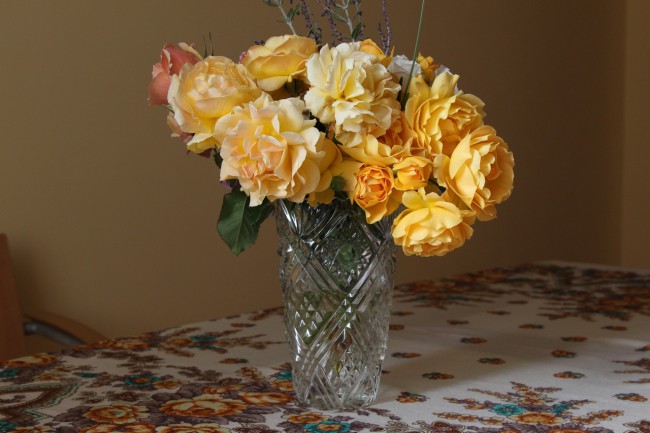 красавица и розы.jpg