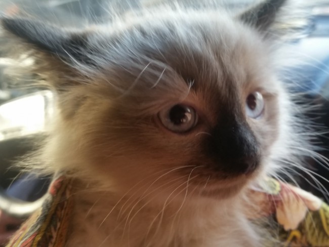20181023_150822.jpg
