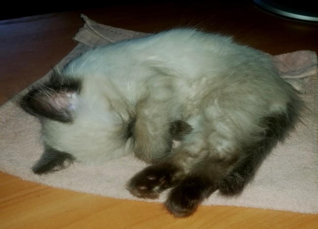 20181025_145851.jpg