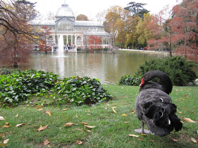 Palacio de Cristal1.JPG