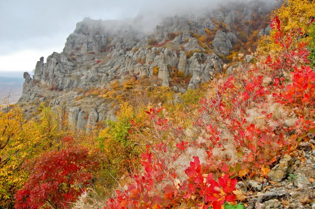 Осень в горах. Фото из интернета