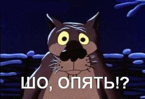 шо.jpg
