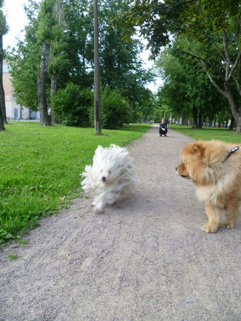 бегу.jpg