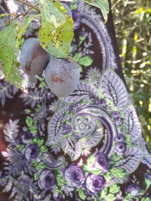 20180902_112923.jpg