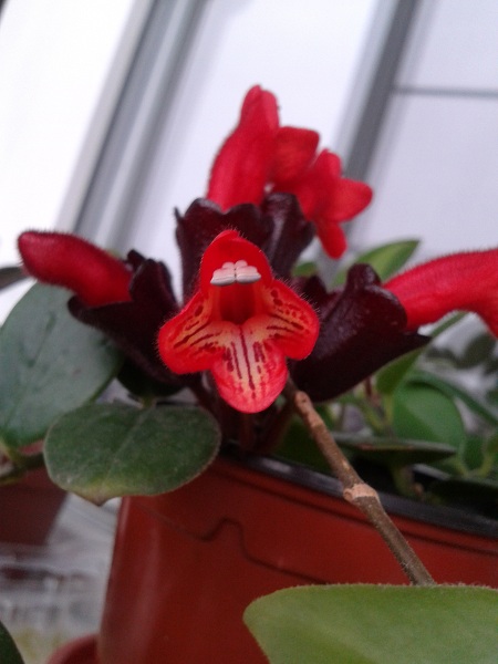 2018-12-02 11.48.24.jpg