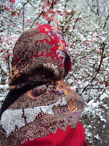 0_d7659_cc6b07f0_L.jpg.jpg