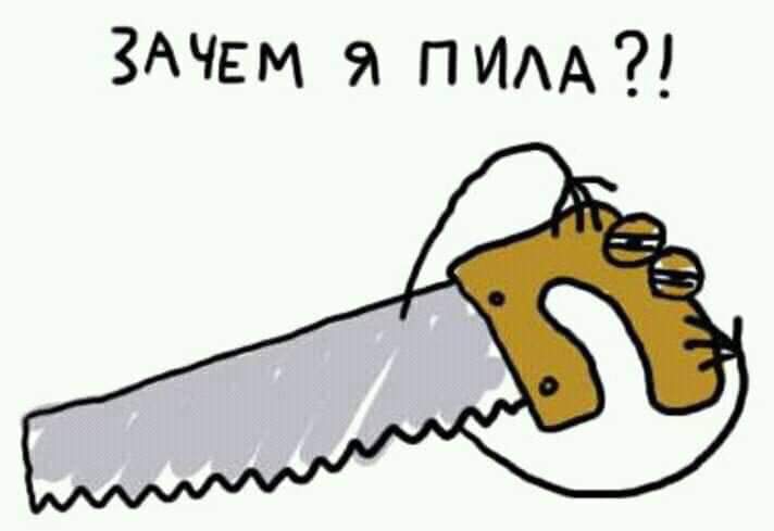 FB_IMG_1546251042294.jpg