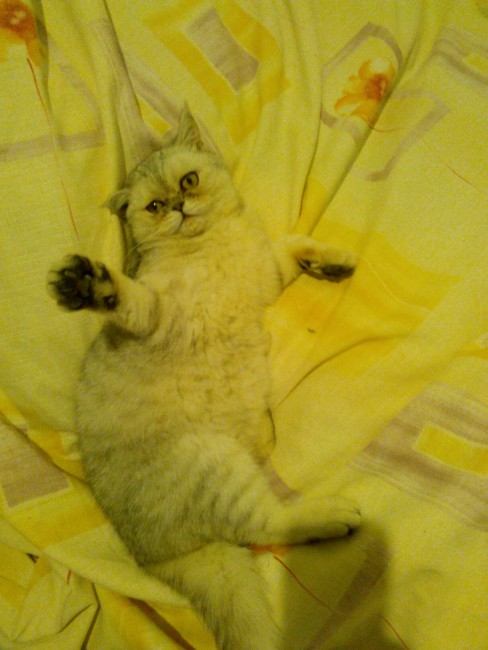 мотя.jpg