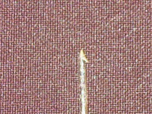 RSCN3950.JPG