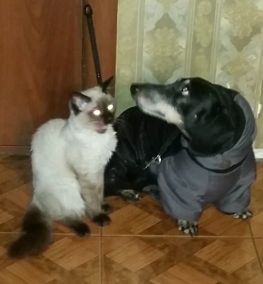 20181227_091941.jpg