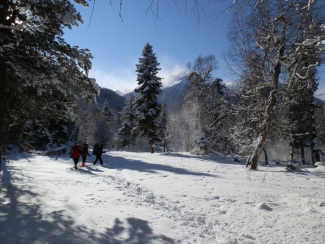 w_54208454.jpg