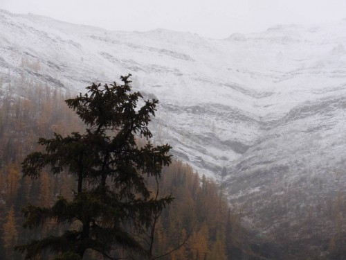 Рисунок6.jpg