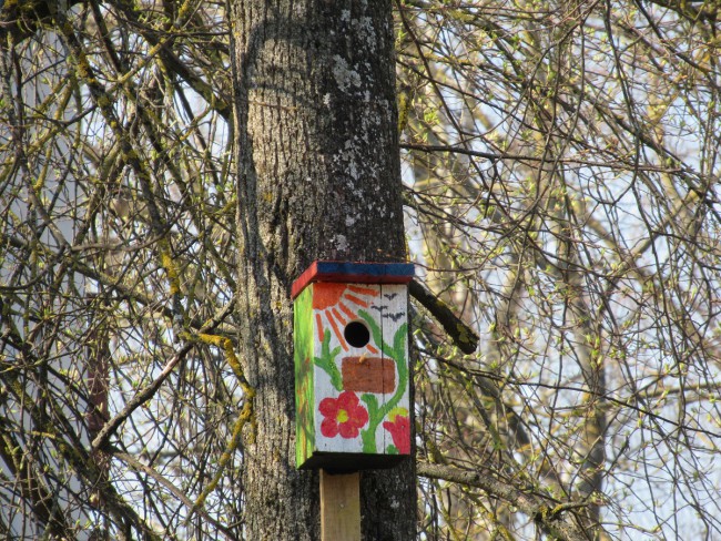 IMG_8694_1.jpg