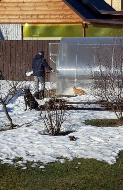 20190408_174350.jpg
