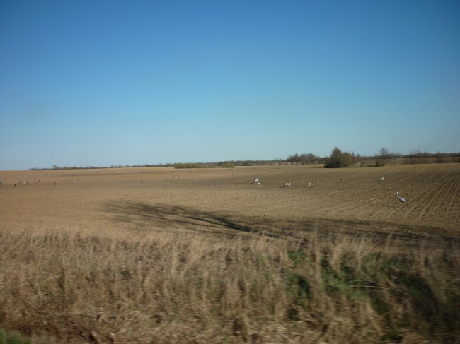 P1280678+.jpg