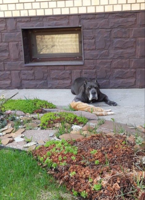 20190509_210552.jpg