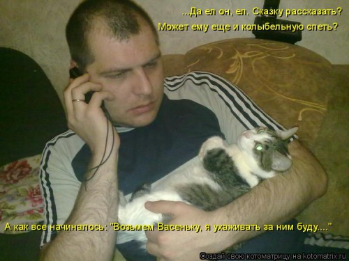 кот на руках.jpg