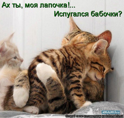 мама.jpg