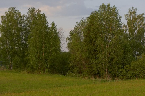 _05G6060.jpg