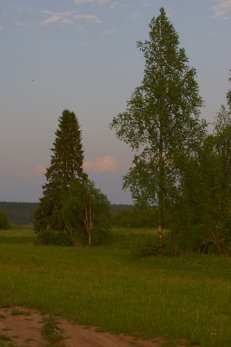 _05G6061.jpg