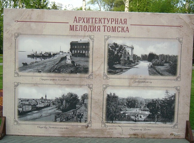 565.jpg