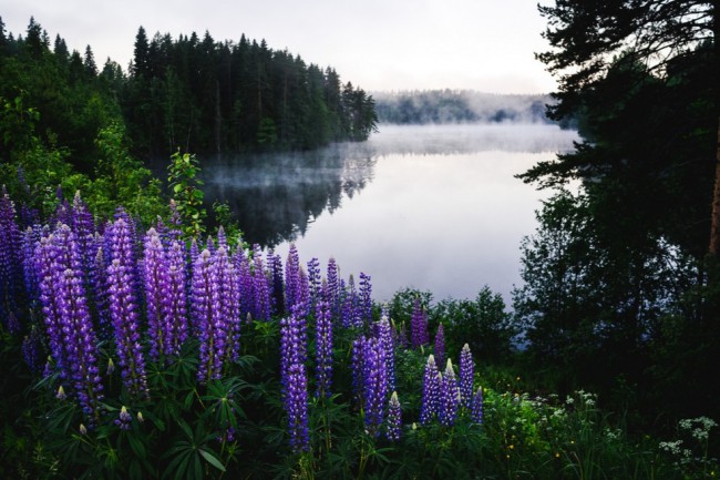 20190614_142415.jpg