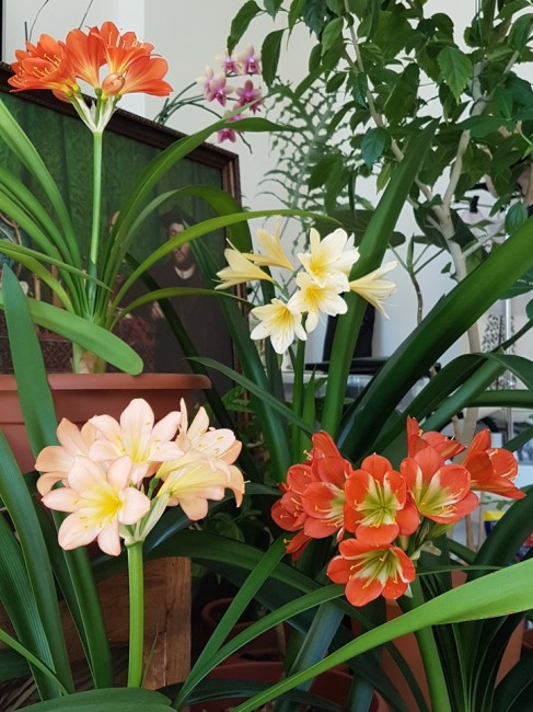 20190626_221419.jpg