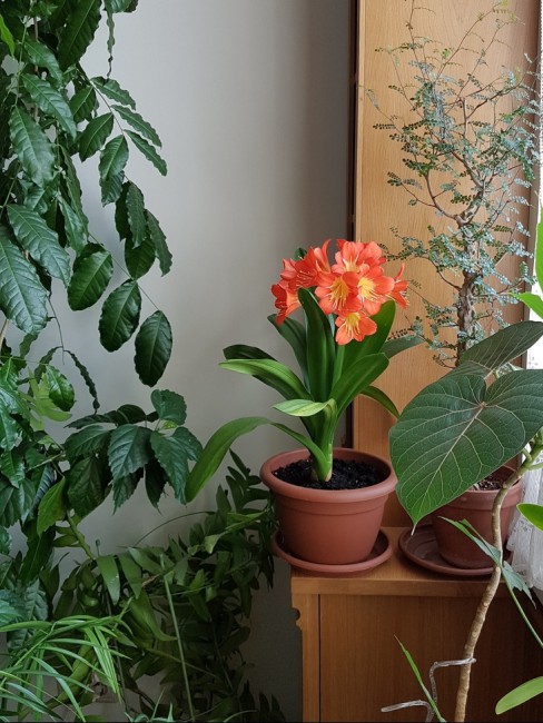 20190626_181350.jpg
