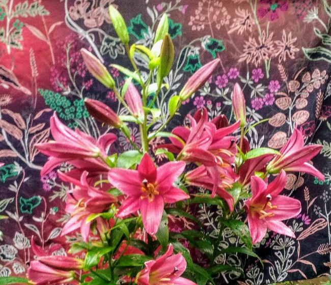 IMG_20190725_120836.jpg