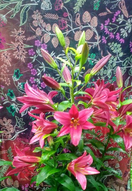 IMG_20190725_120712.jpg
