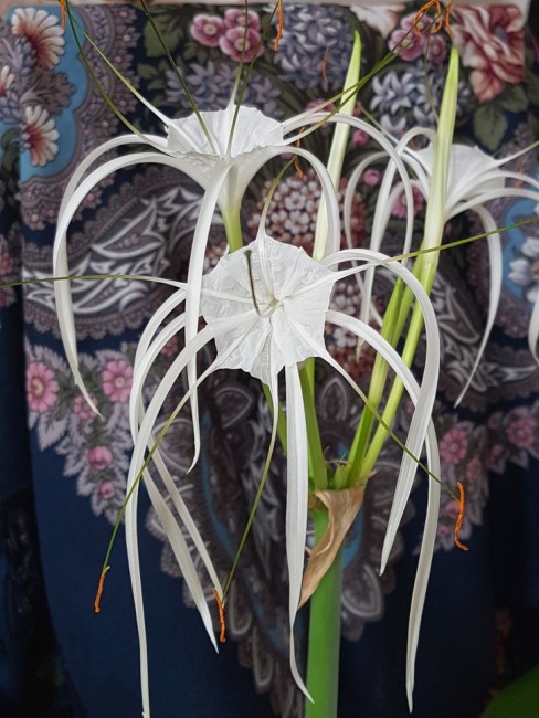 20190907_145921.8nNXv.jpg