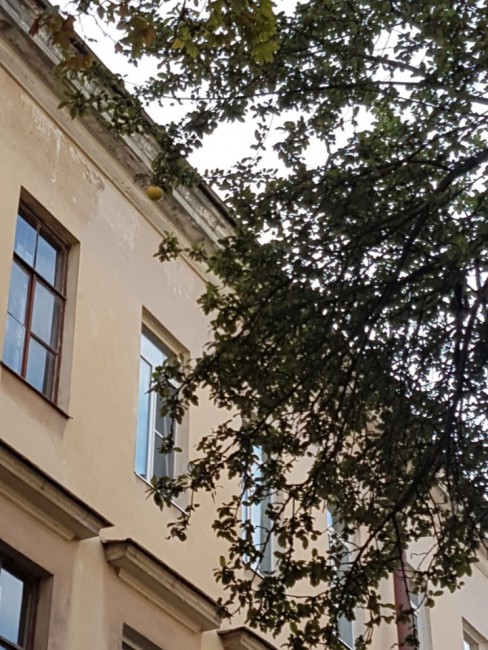 20190912_203111.jpg