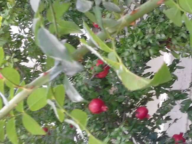 20190923_171741.jpg
