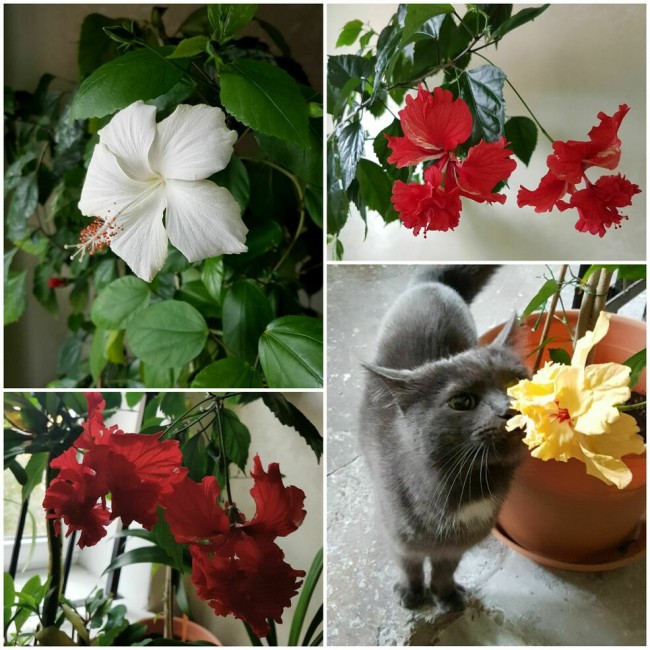 20191003_163202.5vsIb.jpg