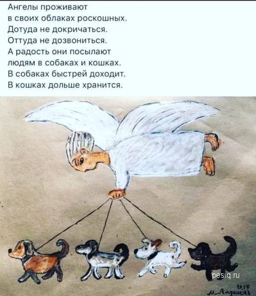 Стихи - Сергей Плотов.<br />Живопись - Михаил Алдашин.