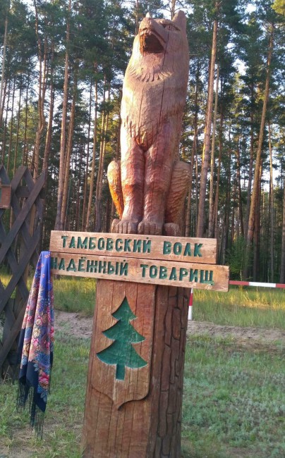 91.jpg