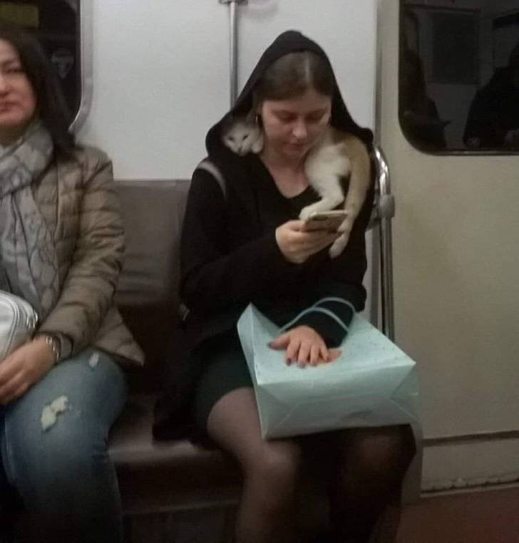 метро2.jpg