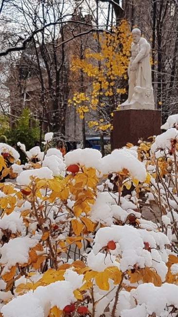 20191029_144524.6I9nv.jpg