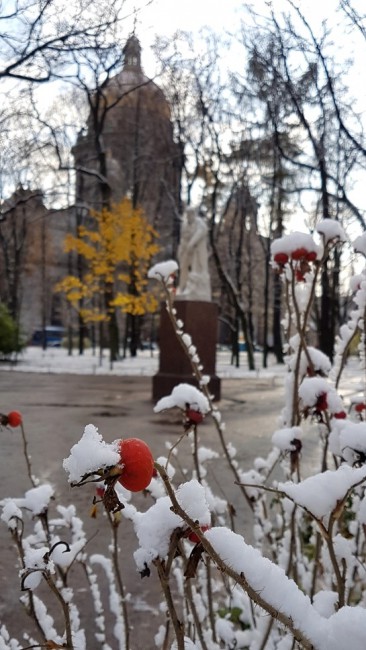 20191029_145220.c7adq.jpg