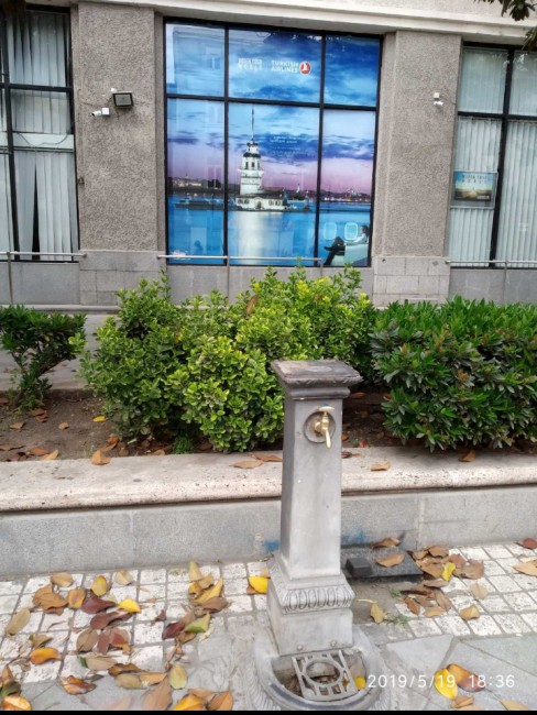 20191031_013123.jpg