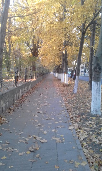 20191110_162532.jpg