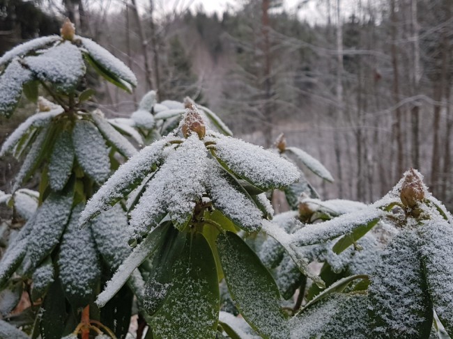 20191114_112838.Guvnq.jpg